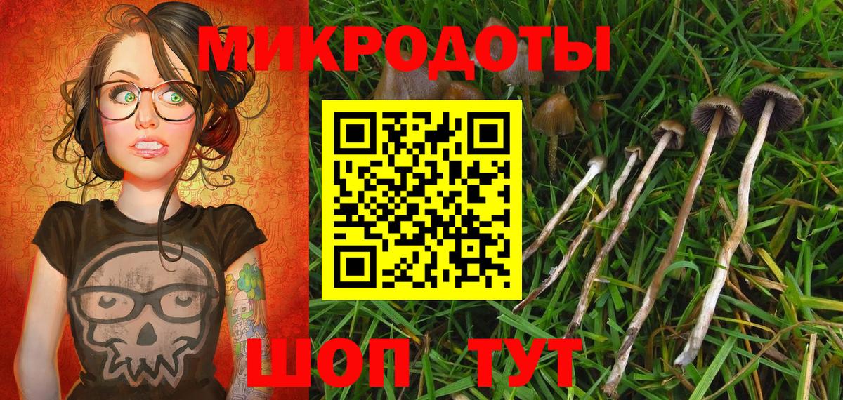 Ессентуки  Галлюциногенные грибы ЛСД  Галлюциногенные грибы Magic Shrooms  Вход с VPN 